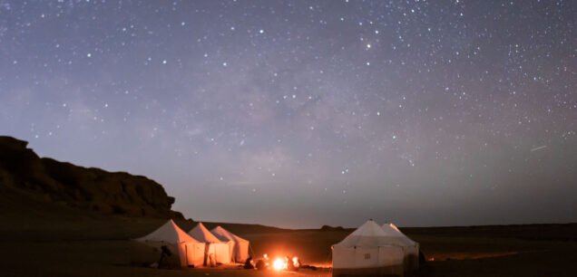 وادي الحيتان