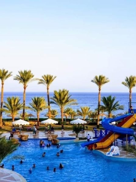 نسخة من 286218195_4954437521321663_4741977360348566161_n (1)